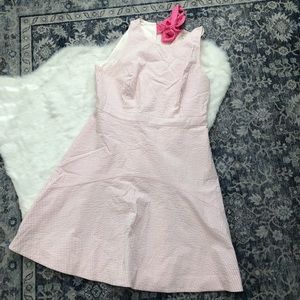 J. Crew Factory Pink/White Seersucker A-Line Dress